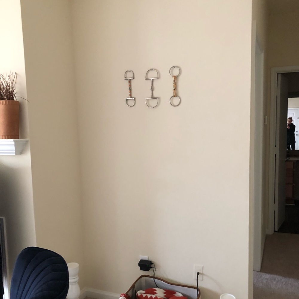 Equestrian wall art